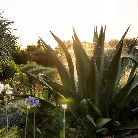 Baglio Giammaccaro 4* Castelluzzo