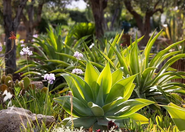 Baglio Giammaccaro Couette-café Castelluzzo