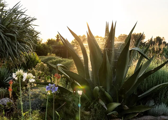 Baglio Giammaccaro 4* Castelluzzo